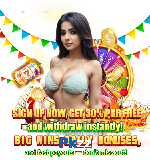 Pkzz interface sample